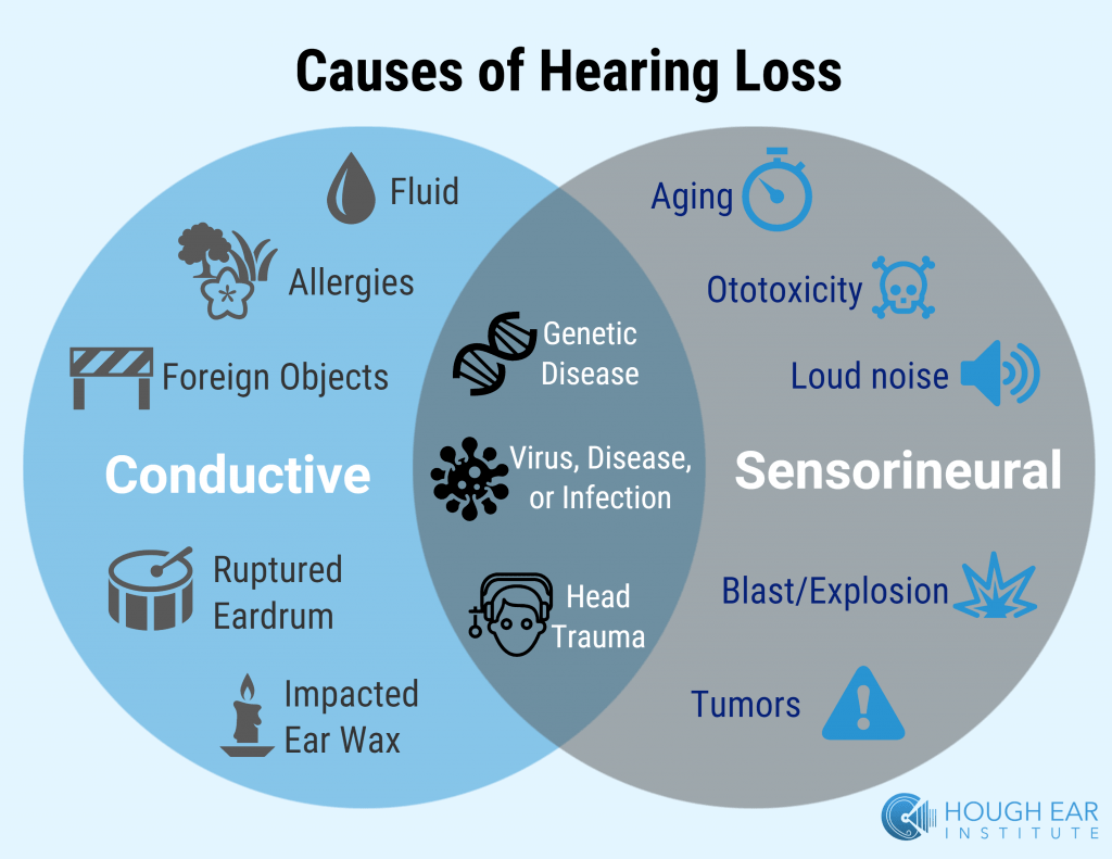  What Is Sensorineural Hearing Loss Attune